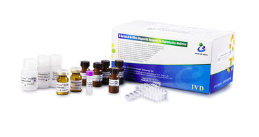 Kit NAG del plasma seminale per la valutazione della funzione secretoria dell'epididimo maschile