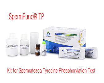Corredo professionale di maturità dello sperma per fosforilazione della tirosina della proteina di determinazione