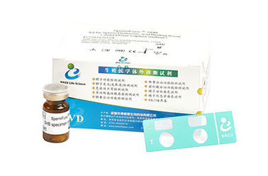 Kit per il test della fertilità maschile dello strumento diagnostico del kit di analisi del legame ialuronico dello sperma