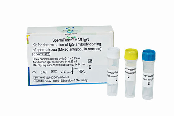 Kit di rilevamento degli anticorpi anti-spermatozoi IgG con metodo MAR raccomandato dall'OMS per il rilevamento sensibile e la conservazione prolungata dei reagenti