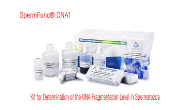 Determinazione economica del livello di frammentazione del DNA di Kit For della prova di frammentazione del DNA dello sperma--metodo della dispersione della cromatina dello sperma