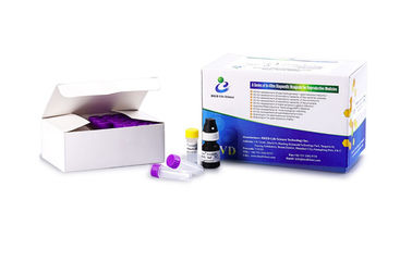 Simple Operate Kit per il test della fertilità maschile Kit per il test dei leucociti dello sperma Colorazione della perossidasi