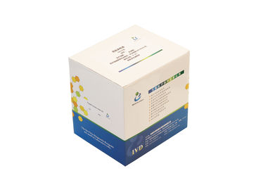 500ml/Kit Kit per il test dell'infertilità maschile Sperm Morphology Papanicolaou Stain Kit