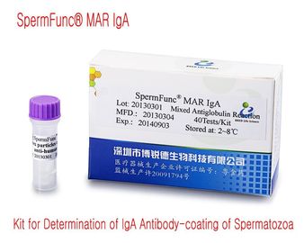 corredo diagnostico maschio 40T/Kit per la determinazione del rivestimento dell'anticorpo di IgA di spermatozoi