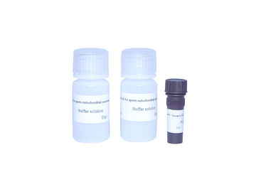 Kit per la colorazione dei mitocondri dello sperma Kit per test di fertilità maschile ad alta precisione
